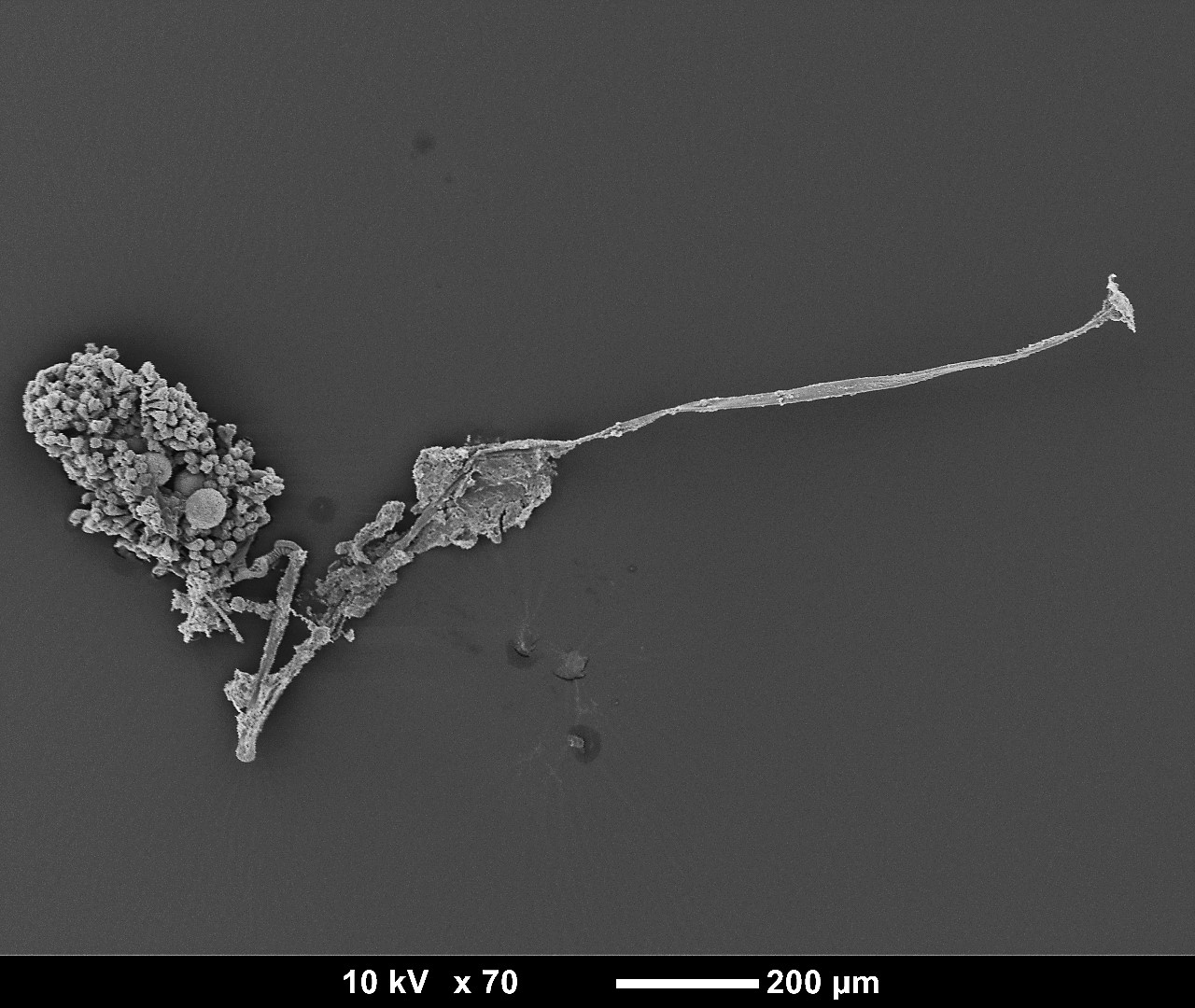 figure image